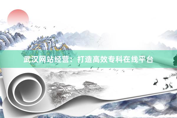 武汉网站经营：打造高效专科在线平台