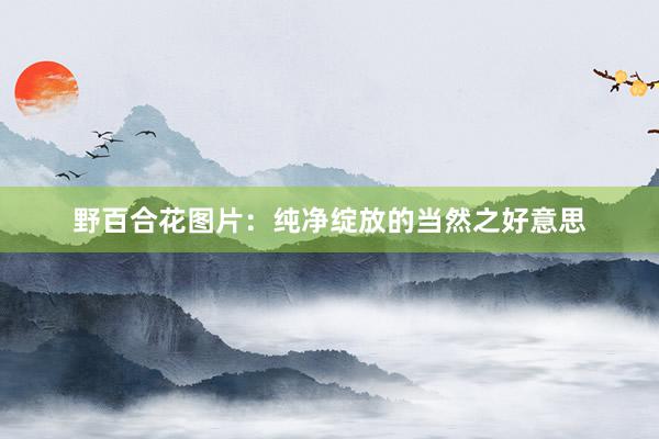 野百合花图片：纯净绽放的当然之好意思