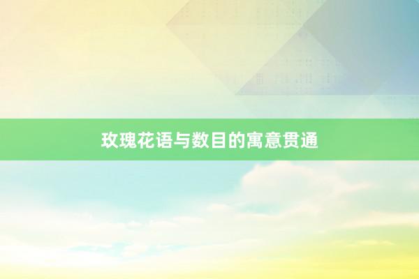 玫瑰花语与数目的寓意贯通